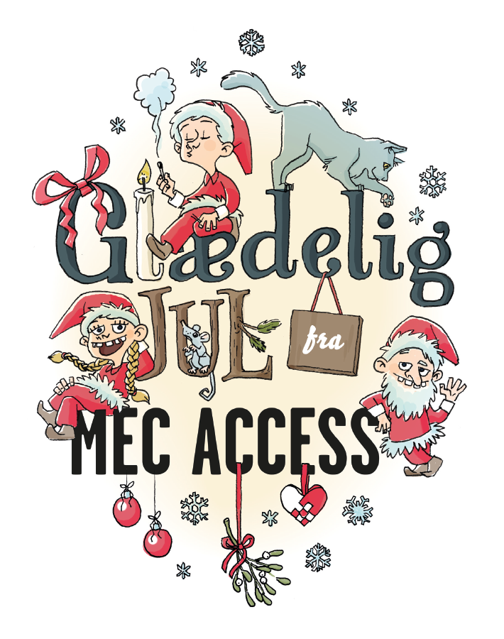 Access Christmas Card 2013